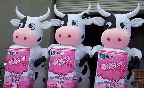 双鸭山牛奶厂广告气模